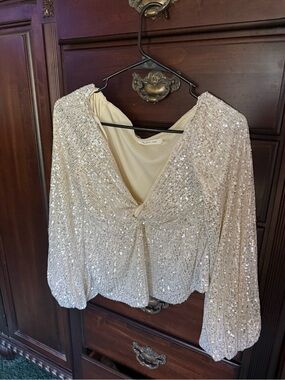 Mustard Seed Champagne Sequin V-Neck Blouse